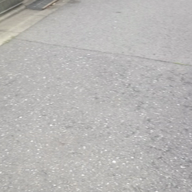 昨日の捕獲生物動画の画像