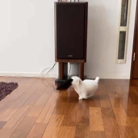 宙君スリッパ大好きの画像