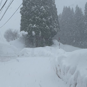 雪の降り方の画像