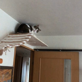 今日の始まりは早くて遅いぞー！の画像