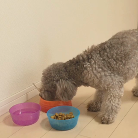 ジルのお口の周りに注目…の画像