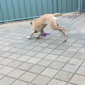 偶然のスローモーの画像