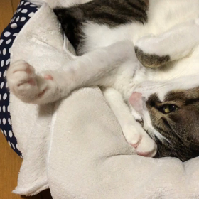 ブログ見返して、私はコロナ感染に何が悪かったか…の画像