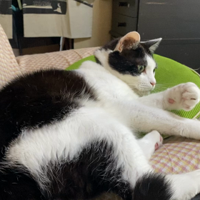 幸(ハッピー)の画像