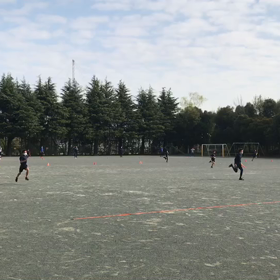 10色リレー(黄緑側から)②の画像