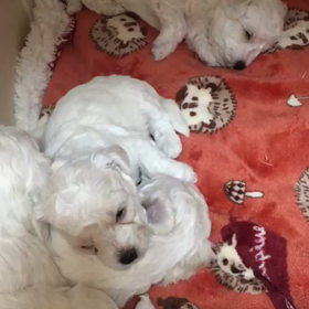 嵐メンバー‥歩き出しました〜☆の画像