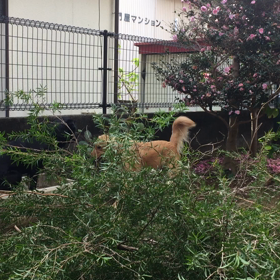 楽しそうねの画像