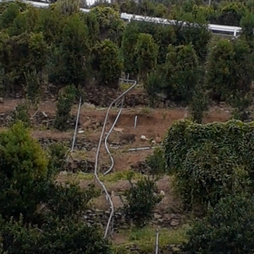 奉仕作業中の出来事の画像