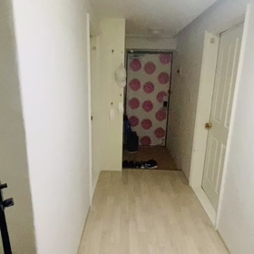 この記事の画像