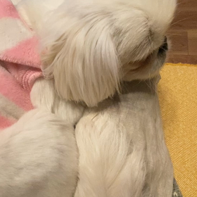 おやじギャル( ;∀;)の画像