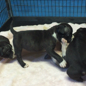 癒しの一時♪の画像