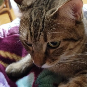 曲げたいの画像