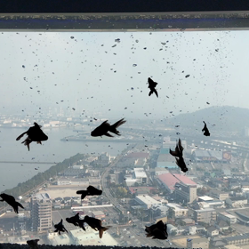 海の向こうにの画像