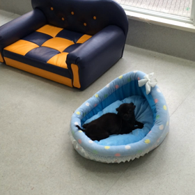 ♪プレイルーム動画♪①の画像