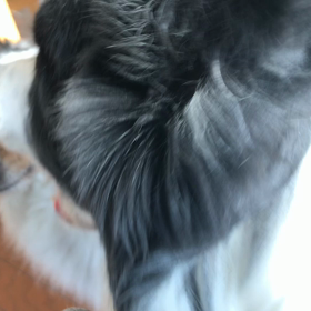 カリーネのママでもあるのにの画像