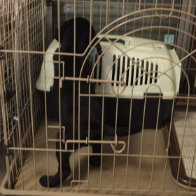 はるの癖❔の画像