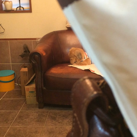 2016/04/03  １週間終わりですの画像