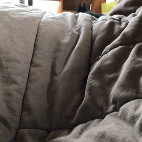 くまたん放流の画像