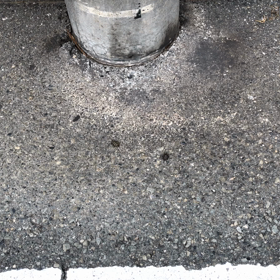 虫が嫌いな方は読まないで！の画像