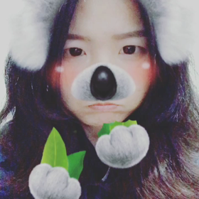 (ღ˘⌣˘ღ)の画像