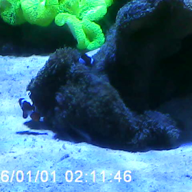 八景島シーパラダイスの画像