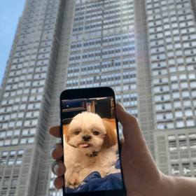 東京の顔になりましたの画像