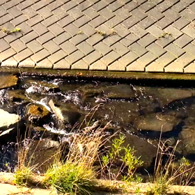 小川のせせらぎの画像