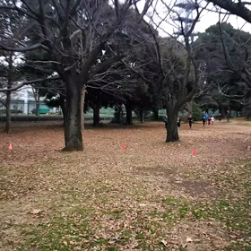 400mインターバル⑥の画像