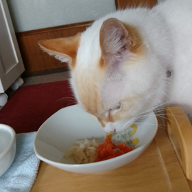 今日は秋分の日の画像