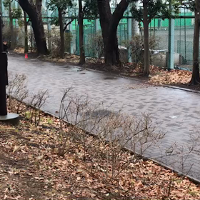 流しバトン その４の画像