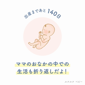 20w1d 妊娠生活の折り返しの画像