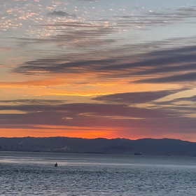 今日は初夢の日の画像