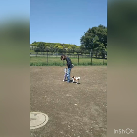 ワンコにはモテモテです♡の画像