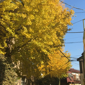 つかの間の癒しの画像