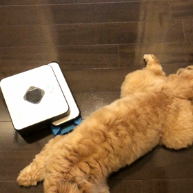 動じないの画像