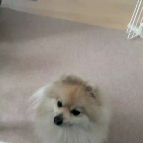 ボール遊びの画像