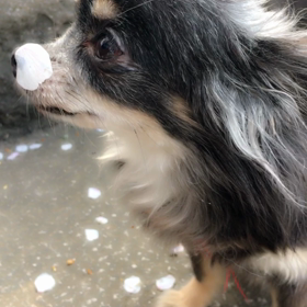 まったりで、すごくよい1日でしたの画像