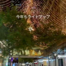 シドニー　街なかライトアップの画像
