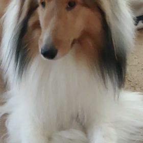 戦ってますの画像