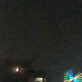 ニャンニャン日記（╹◡╹）花火の画像