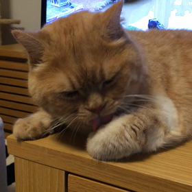 生むぎ！(*^o^*)の画像