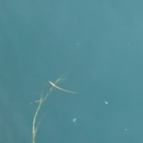 くコ:彡くコ:彡　その2の画像