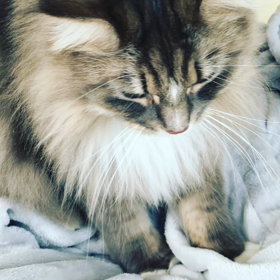 きょうのティーちゃんの画像