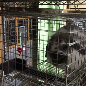 食欲の晩秋の画像