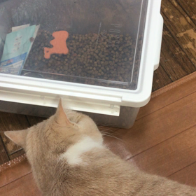 動画だけm(_ _)mの画像