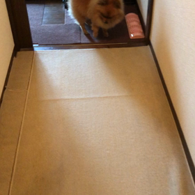 歩けたよ！の画像