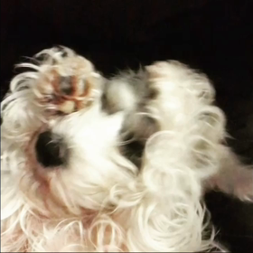 ダンスタイム⁉️の画像