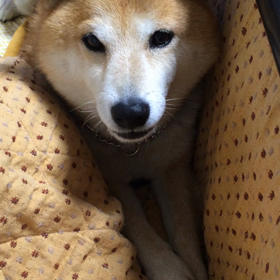 抗議の画像
