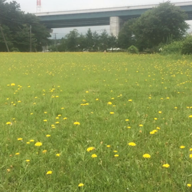 キズナ(初動画ドキドキ)の画像