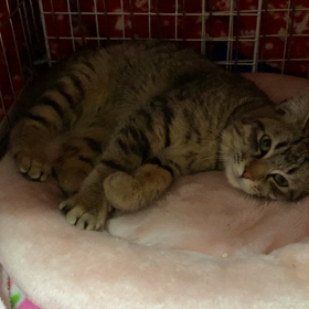 ナラくん9日目の画像